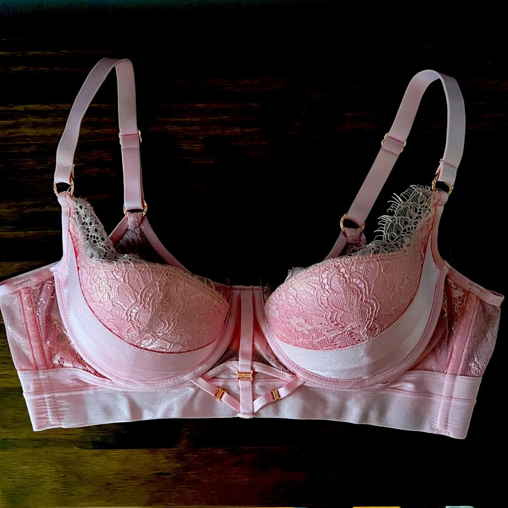 Honey Birdette Belinda Bra and Garter Belt 36D/L NWOT